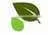 Pure Amino Acids / Vegetable Amino Acids / Amino Acid Fertilizer