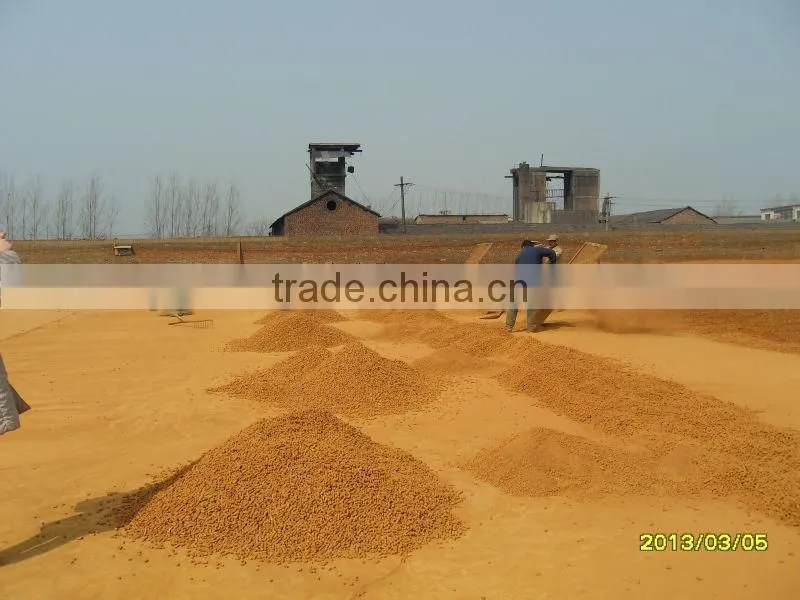 iron oxide desulfurizer for diogas/ desulfurizing agent