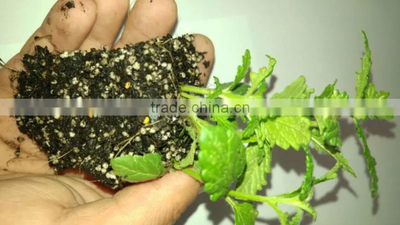 Good quality growing medium vermiculite for soil aeration