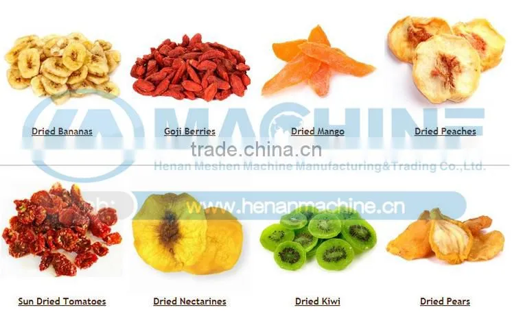 heat pump fruit dryer argos for fruit vegetable herb meat fish chilli for moringa leaves