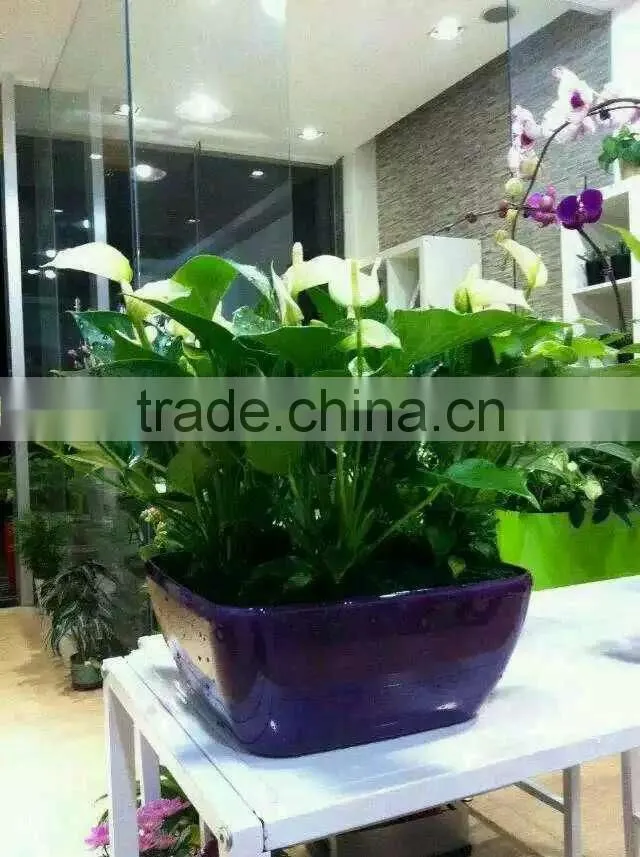 OEM Finishing and OEM Material MINI TERRACOTTA POTS WHOLESALE