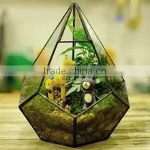 Micro landscape indoor glass greenhouse/ clear glass indoor plant terrarium /Geometric Glass Terrarium