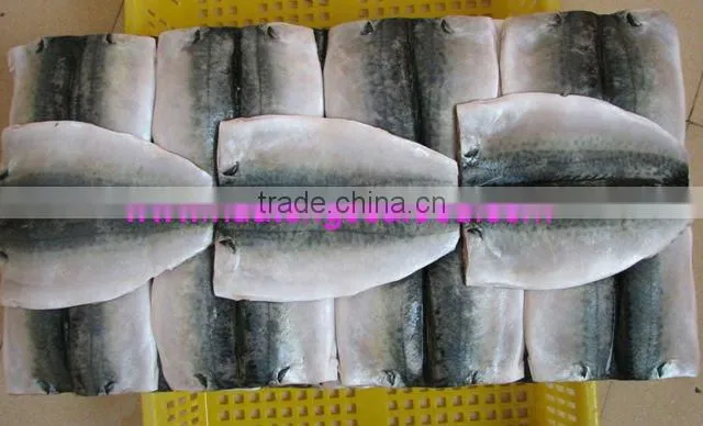 sea frozen 1000+ bonito tuna