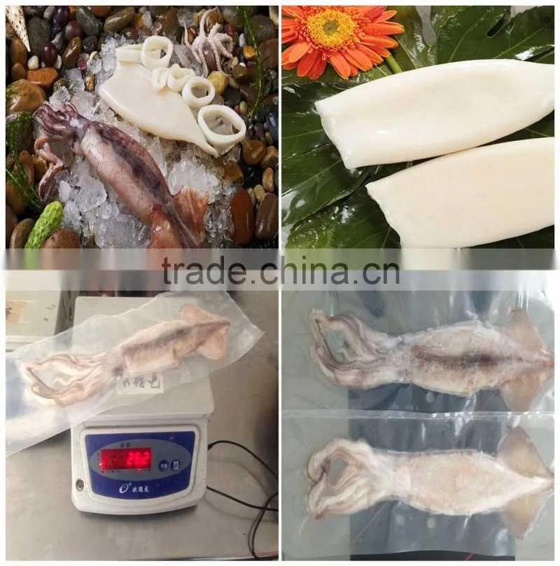 Frozen IQF high quanlity Pacific squid tube