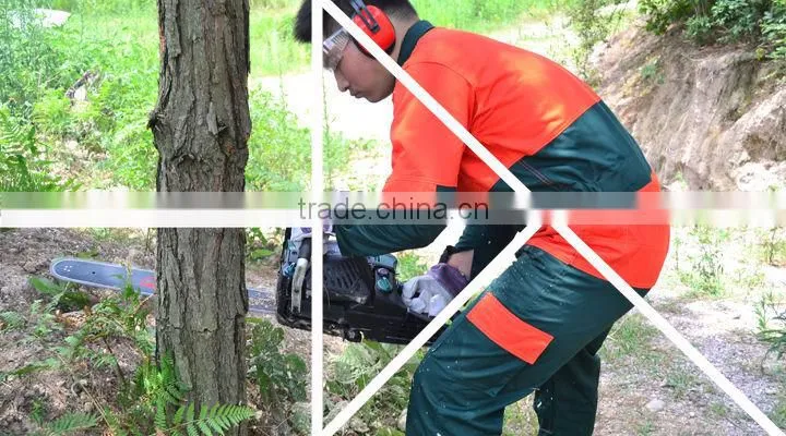 PDS5600 New 52CC Green Power Petrol Chainsaw Price with 18" Bar and Chain
