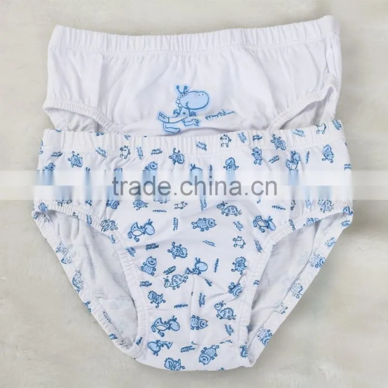 Kids Underwear Wholesale Designed Underwear Teen Sexy Boys Briefs