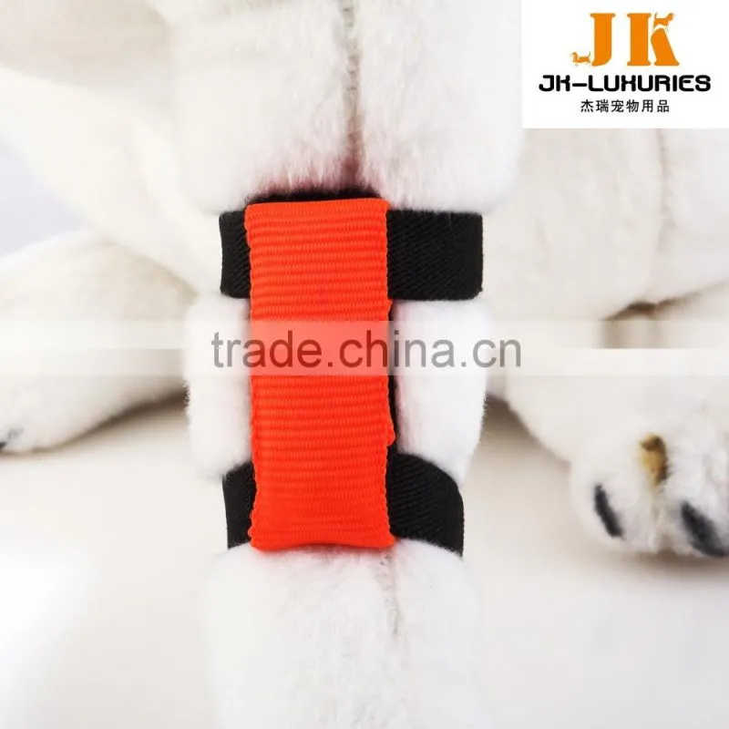 Nyon LED pet collar light