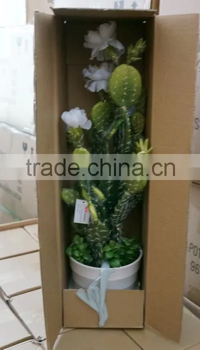Summer Hanging Tropical Flower Plant