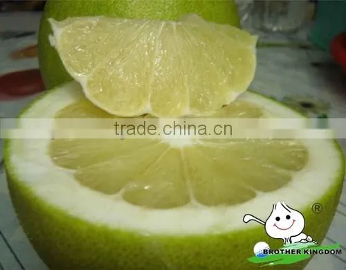 Fresh green pomelo