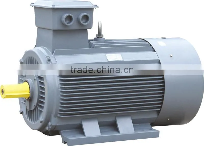 OEM Cast Iron/Aluminum Housing Three Phase/Single Phase Electric Motor