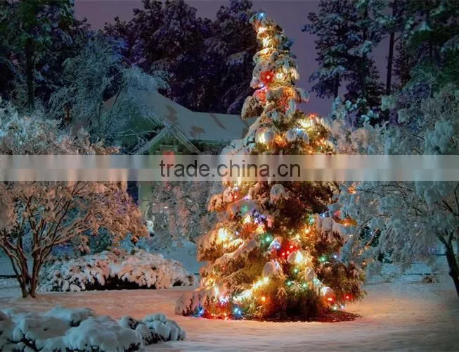 colorful string ball cluster Battery/adapter powered color changing orb pvc copper silver wired invisible rice led lights