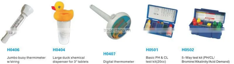 Swimming Pool Cleaning Tools