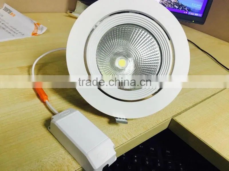 360 Degree Rotatable Aluminum Alloy COB LED Trunk Light 30W for Gallery 220VAC