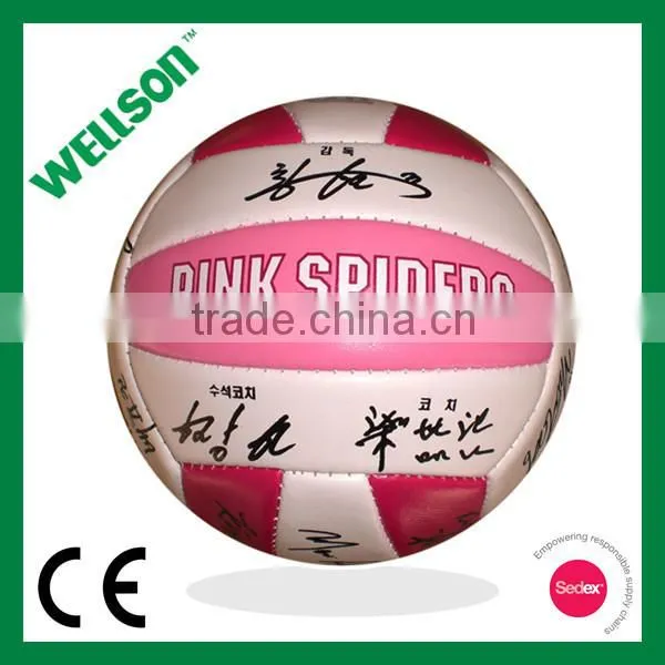 Promotional mini volleyball