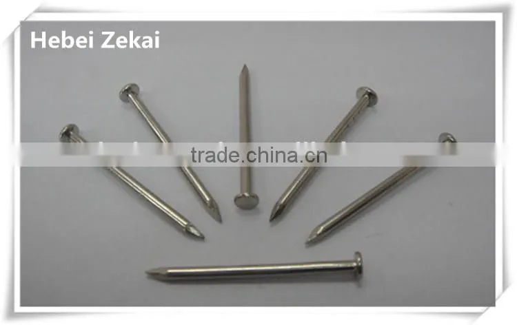 polished common nails for construction hardware