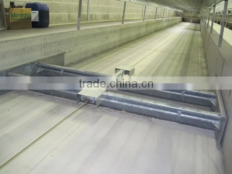 Automatic Rabbit Farming Equipment for Rex Rabbit
