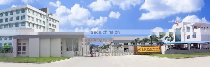 Jiangmen Hongben Car Accessory Industrial Co., Ltd. company overview - view 1