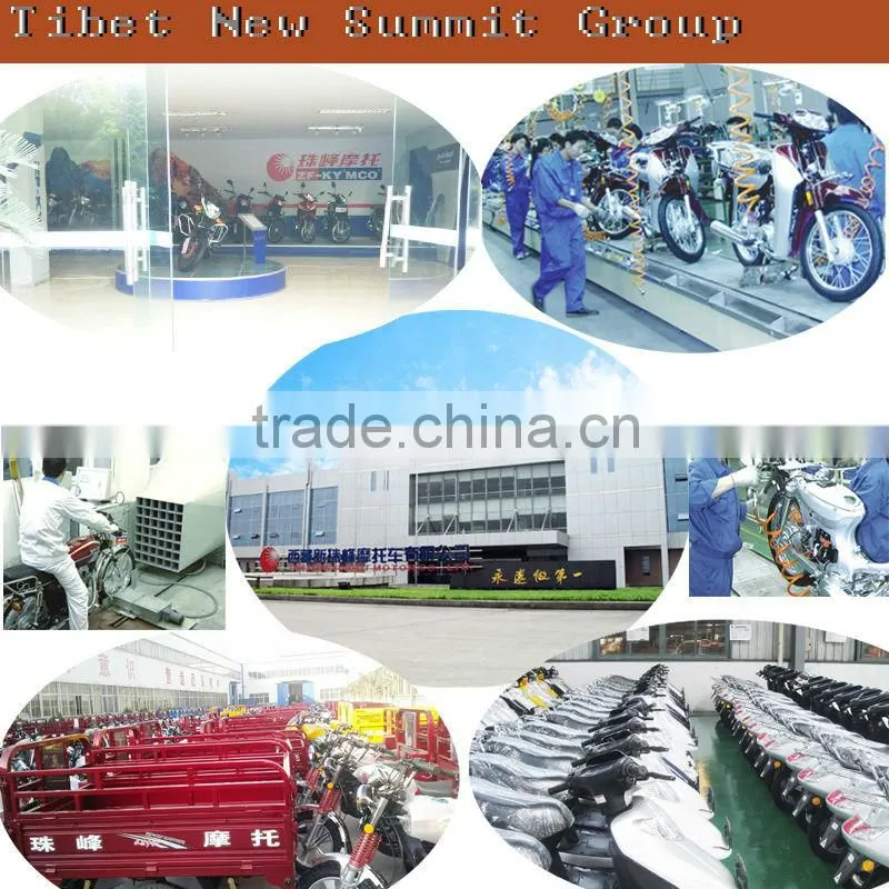 chinese 200cc chopper motorcycle for sale ZF250-6A