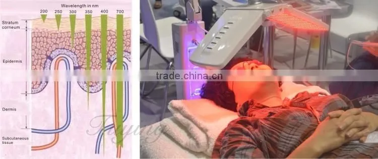 Hot sale Professional 7 Colors Photon LED Skin Rejuvenation PDT Beauty Machine