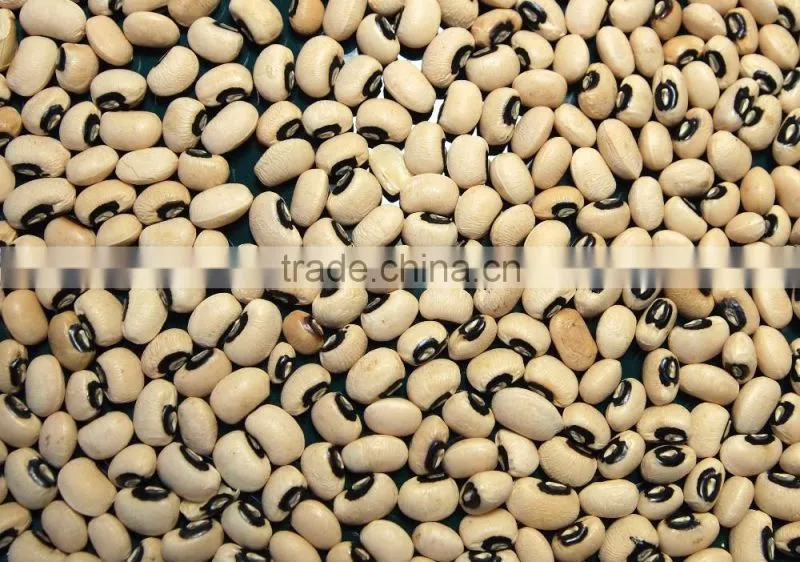 Black Eyed Beans new crop