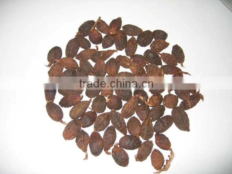 BLACK CARDAMOM
