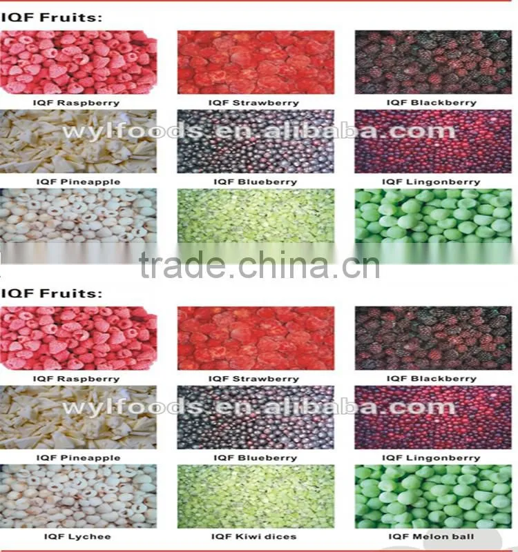 IQF Frozen apricot dices best price good quality