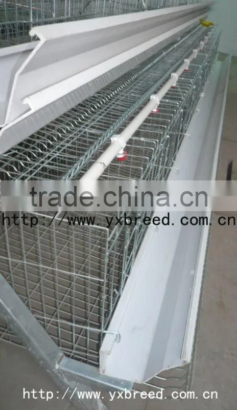 poultry layer cage for chicken