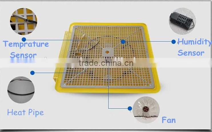 TD-48 full automatic mini incubator for parrot
