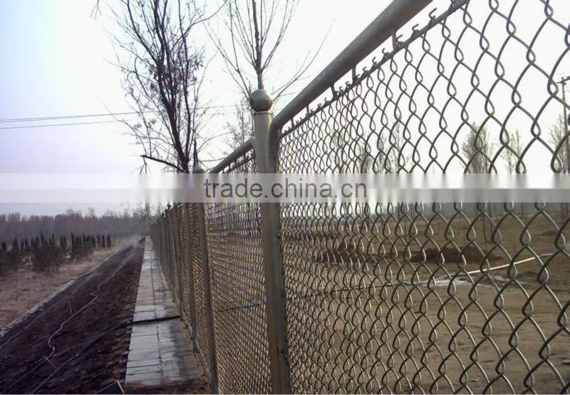 decorative chain link fence
