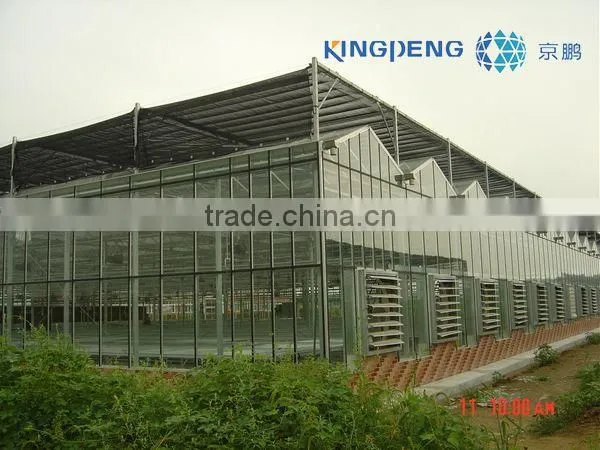 Large Size Multi Span Glass Greenhouse