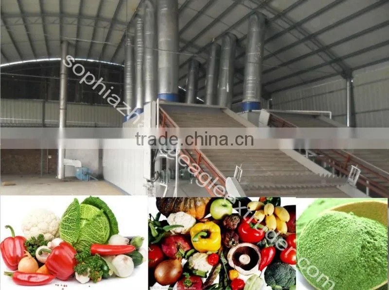 Stainless steel dryer for fruit powder/vegetable powder