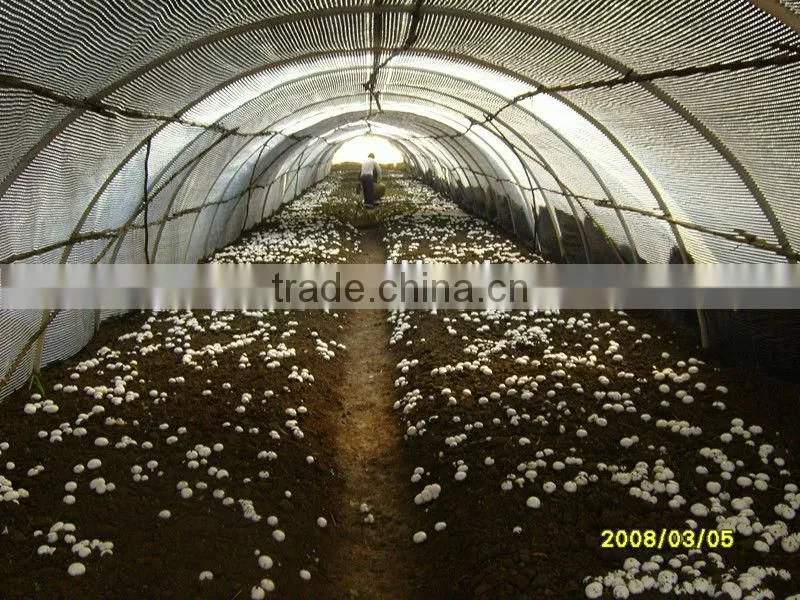 plastic film products mushroom greenhouse film for agriculture