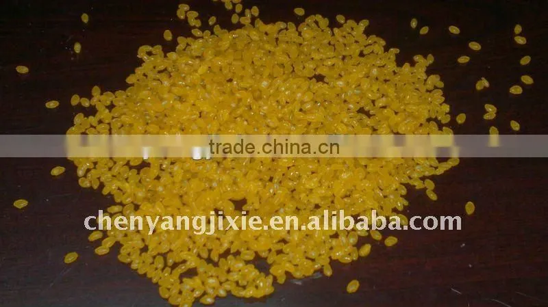 Artificial rice/Instant Rice/Nutritional Rice Food Processing line made in China Skype:emilyli_11