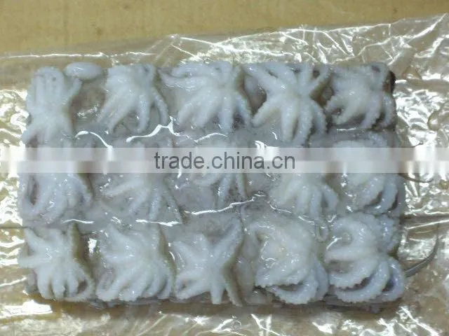 FROZEN BABY OCTOPUS