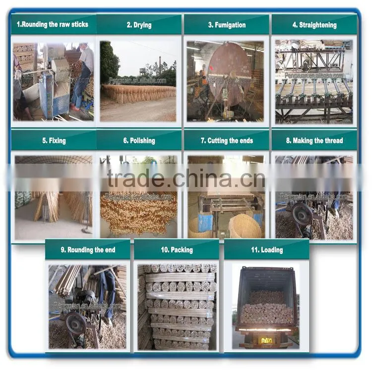 GUANGXI manufacturer natural wood broom handle broom stick