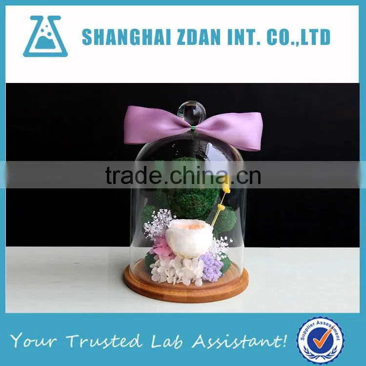 Glass Shade Preserved Flower Cover