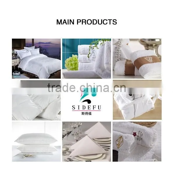 Luxury White Wholesale Down Duvet/Feather and Down Comforter