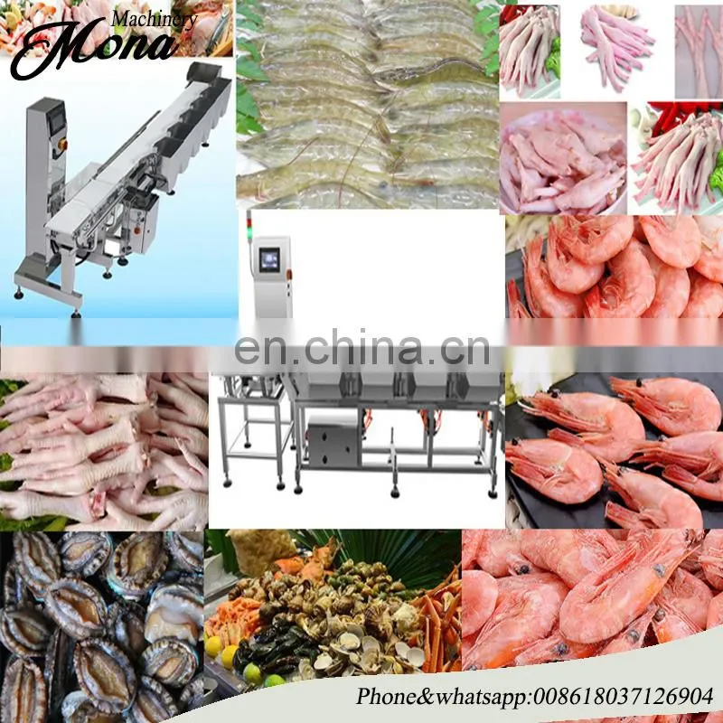 commercial Weight sorting machine Weight sorting machinery Weight sorter machine