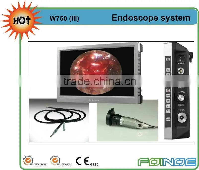 Q'7515 CE approved HOT selling veterinary endoscopy