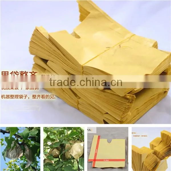 Paper material fruit paper bag