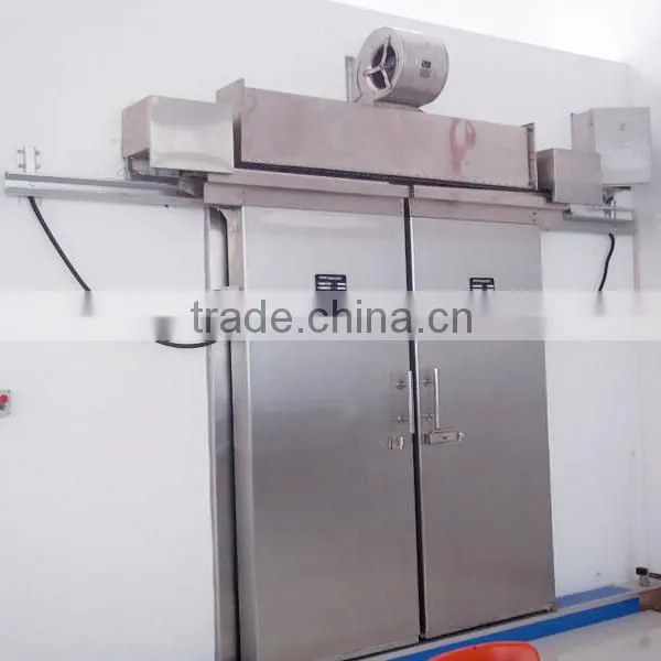 Cold Room Medium Manual Sliding Door
