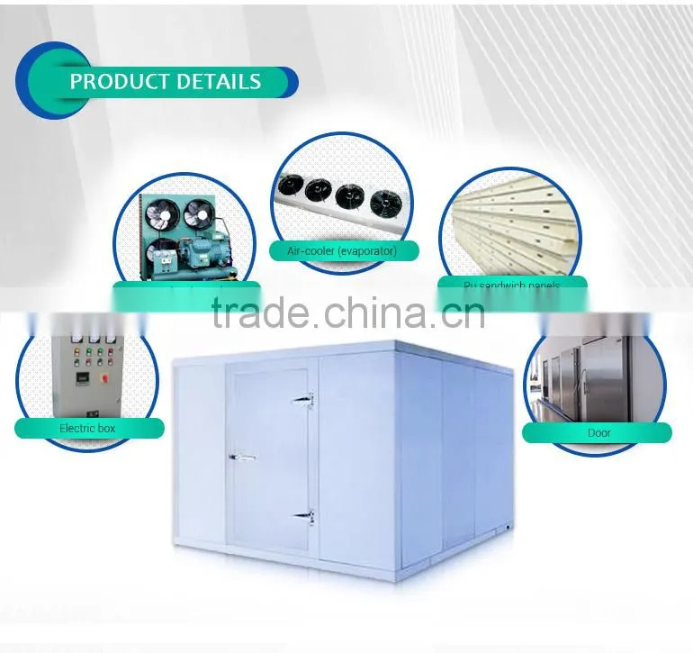 Newly good quality cold room polyurethane sandwich panel