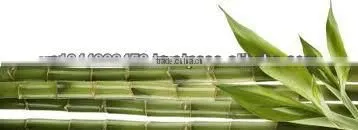 2013 new design bamboo spoon