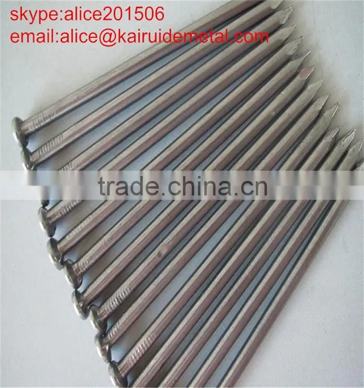 high quality factory production common iron nail with low price/common iron wire nail all sizes