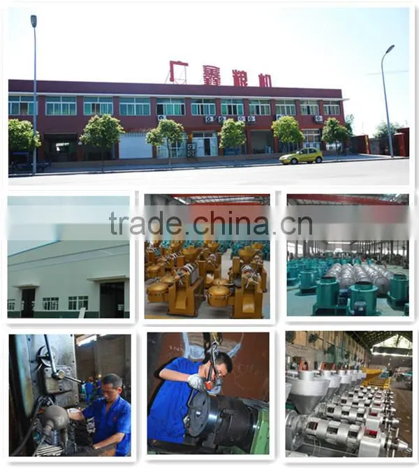 Economical Vegetable Seeds Oil Press Machine YZYX90-2