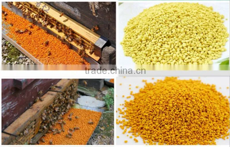 Popular healthy food mountain flower bee pollen from nature