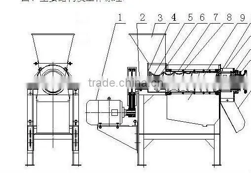 food fruit Apple/Pear/Carrot/Ginger/ Fruit Juice Extractor