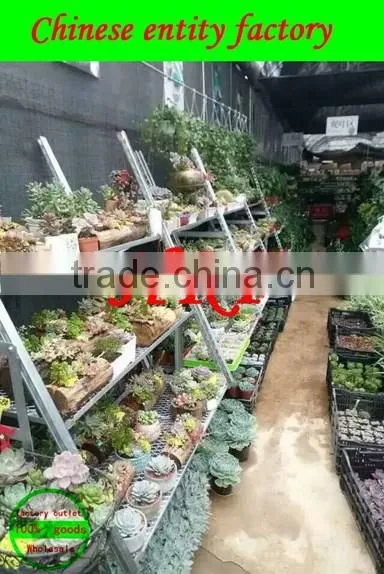 Mesh floats sell like hot cakes hot dip galvanized removable flowers car