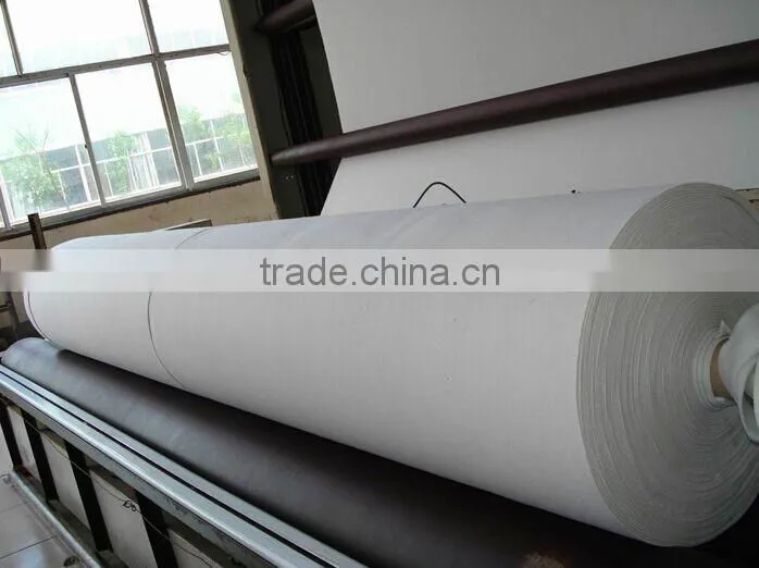 geotextile/non woven geotextile/geotextile fabric price