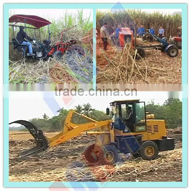 SL5 small size sugarcane loader for sale/ sugarcane loading machine from TAGRM